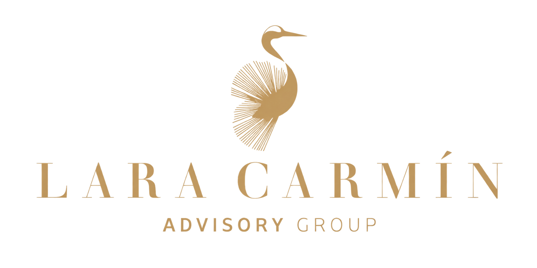 Lara Carmín Advisory Group